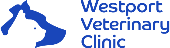 WestPort Vets
